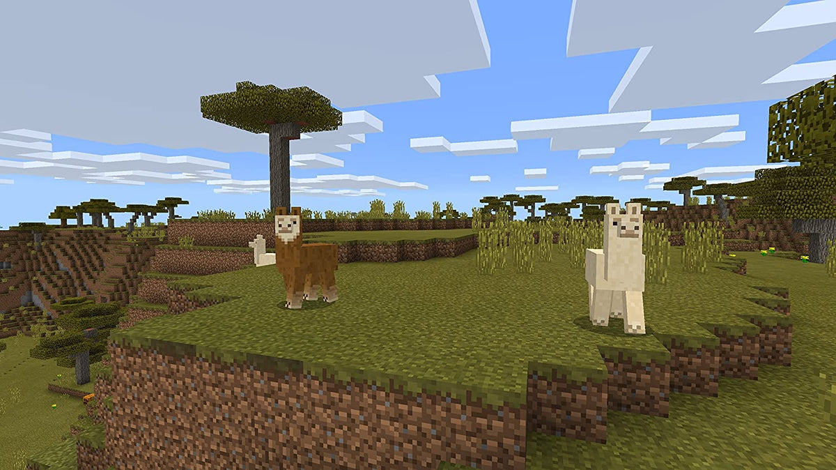 Minecraft Switch Edition Nintendo Switch