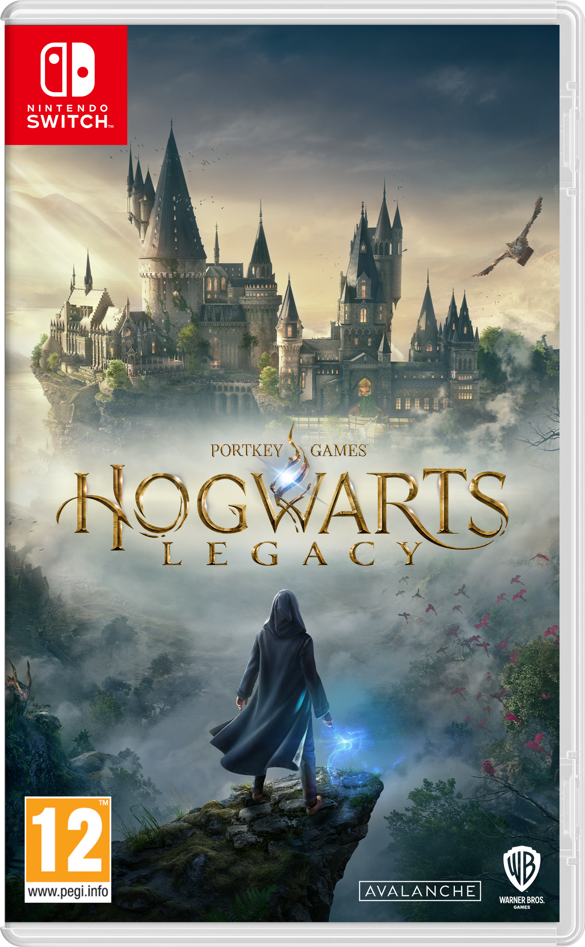 Hogwarts Legacy Nintendo Switch