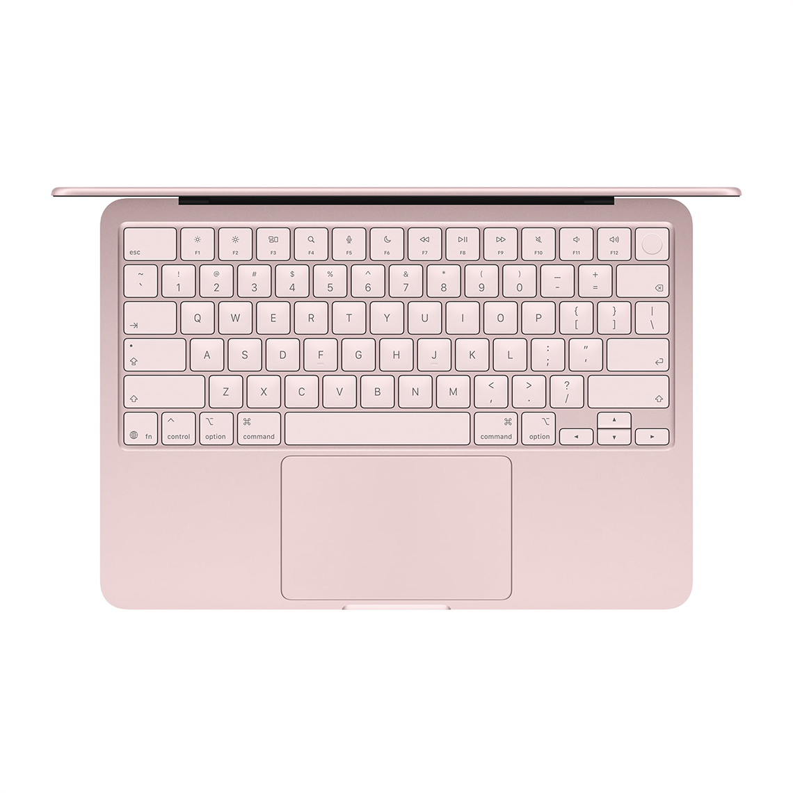 Apple 13 pouces MacBook Neo A18 Pro avec 6 cœurs CPU, 5 cœurs GPU