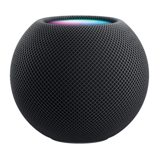 HomePod Mini - gris sidéral