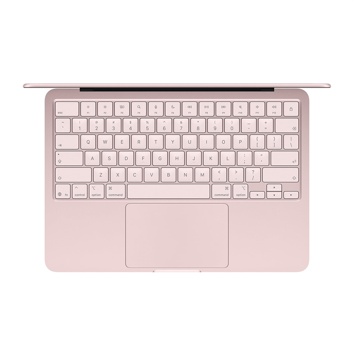 Apple 13 pouces MacBook Neo A18 Pro avec 6 cœurs CPU, 5 cœurs GPU