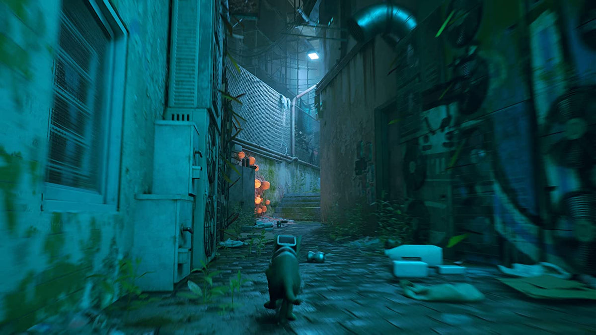 Stray PS4