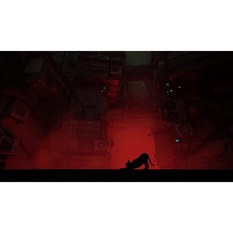 Stray PS5