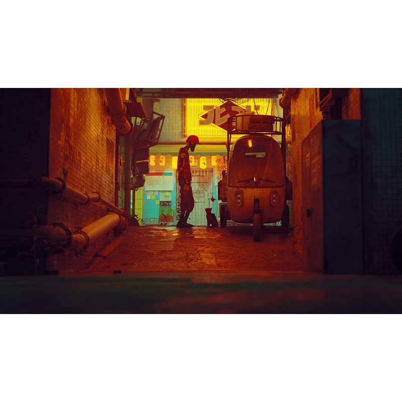 Stray PS5